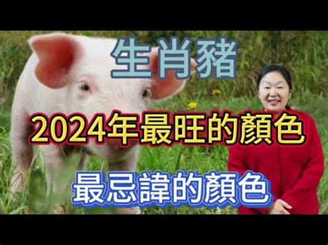 1971豬幸運色2024|2024豬年幸運色速查表